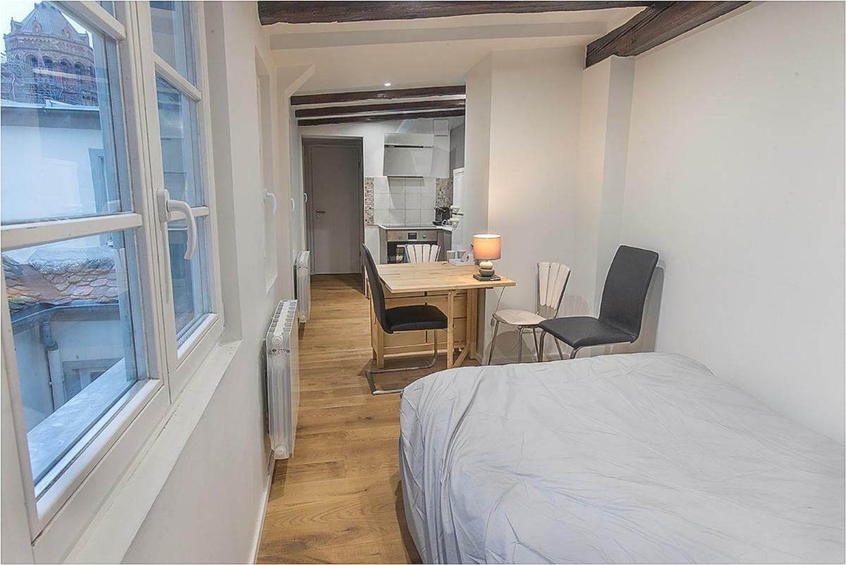 Apartamento L'Oeil Sur La Fleche Estrasburgo Exterior foto